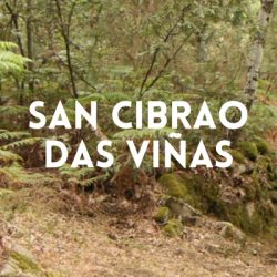 san-cibrao-vinas (1)